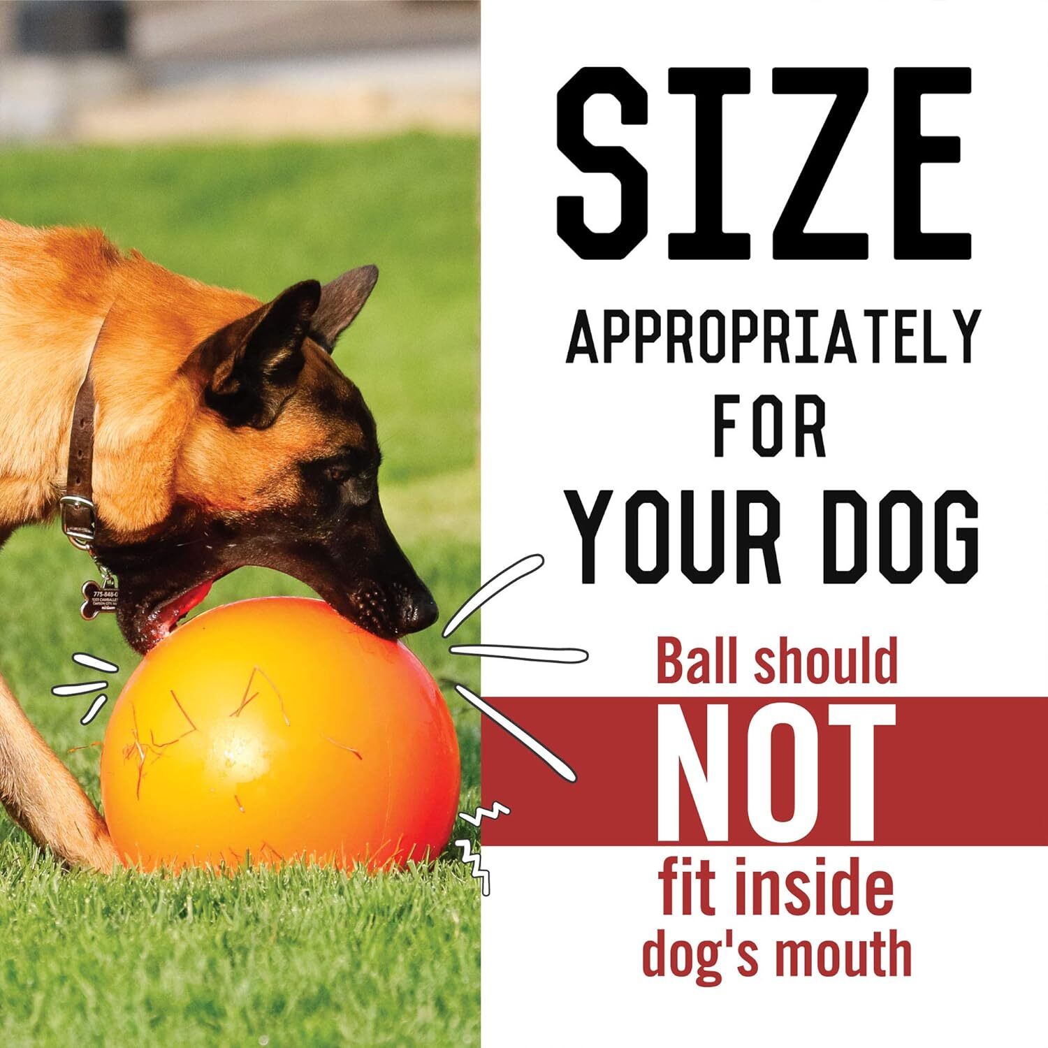 Virtually Indestructible Best Ball for Dogs, Large (10 in), Blue, Red, Orange