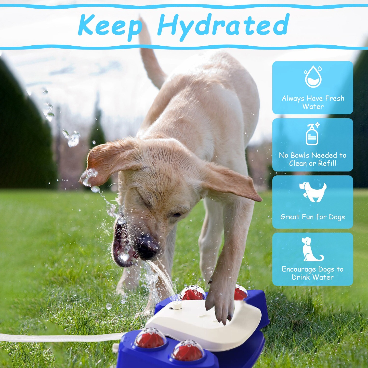 Outdoor Dog Fountain Step On Paw Activated Sprinkler Toy for Fresh Water Drink