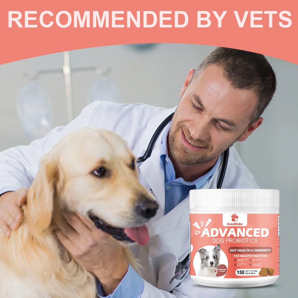 Probiotics for Dogs Soft Chews for Seasonal Allergies, Gut, and Digestive Health