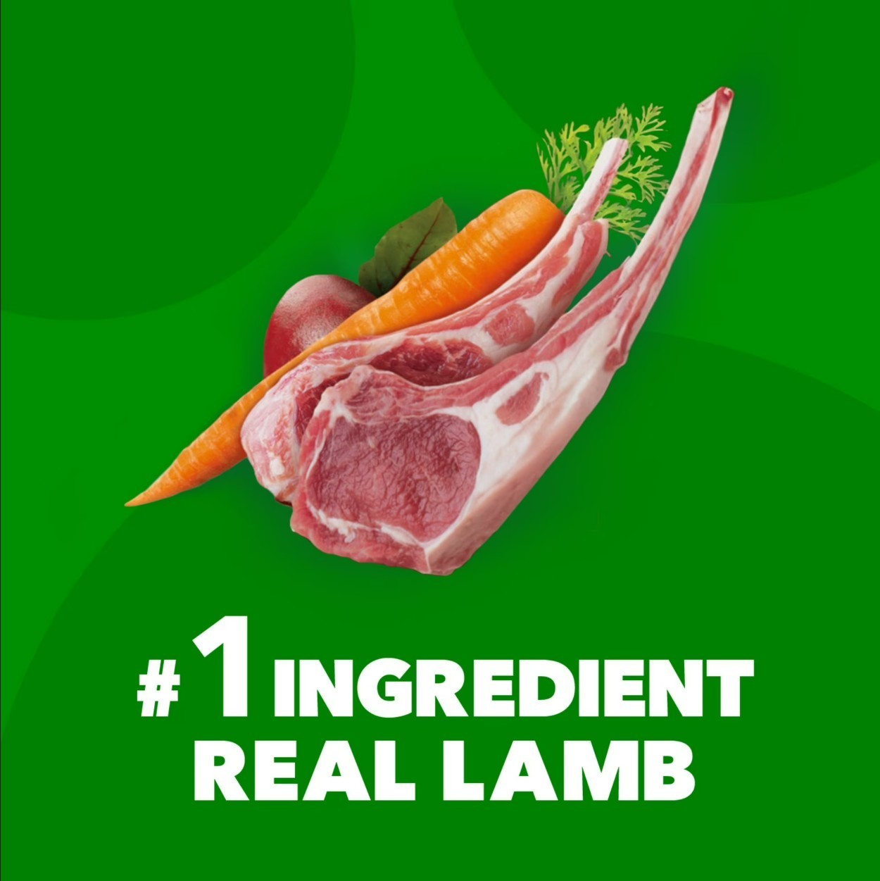 Iams Proactive Health Minichunks Dry Dog Food With Real Lamb & Rice, 30 Lb. Bag