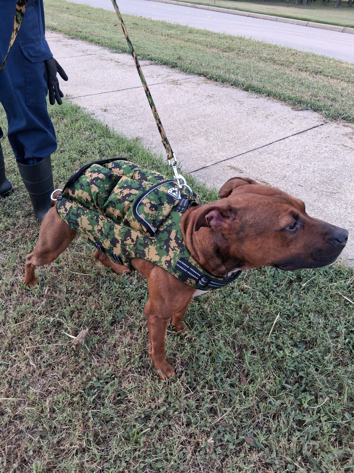 CWS Weighted Dog Vest + Flotation Vest-Medium 12 Pounds Sandbags Only No Sand!!