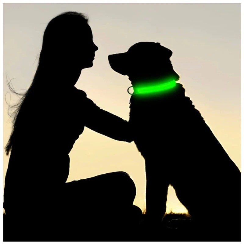 RECHARGEABLE LED PET GLOW COLLAR night safety adjustable flash light-up FOR dog