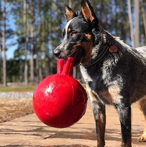 Jolly Pets Tug-N-Toss 8 inch Red Rubber Ball with Handle Chew Toy for Dogs