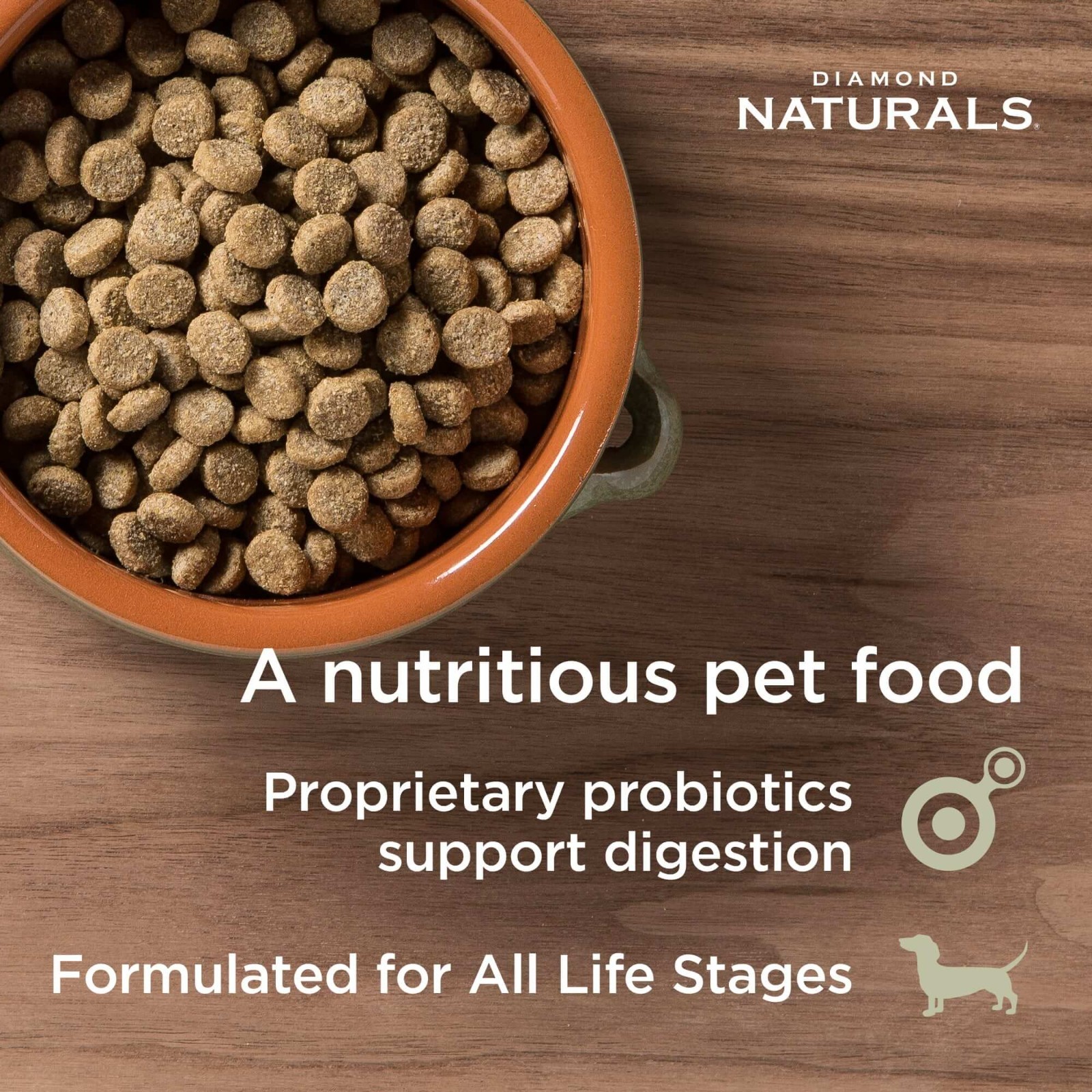 Diamond Naturals Skin & Coat Formula All Life Stages Dry Dog Food 30lb