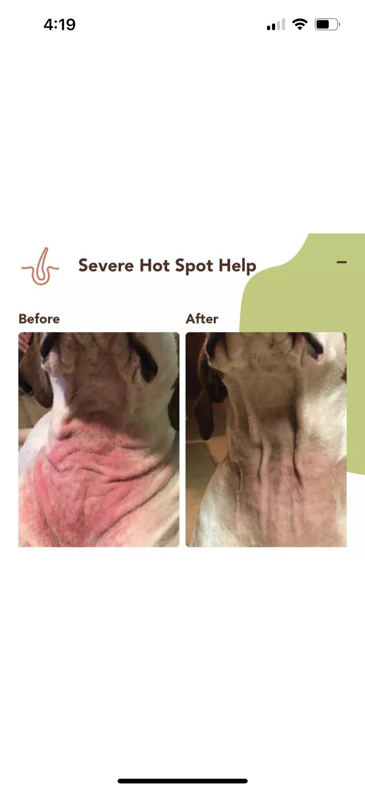 3 Pack. Natural Dog Company Skin Soother For Hot Spots Rashes Dry Skin 2oz