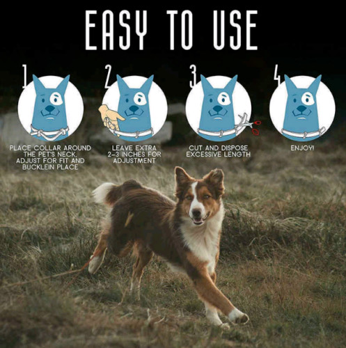 Seresto Flea & Tick Collar LARGE DOGS 18 lbs – 8 Month Protection