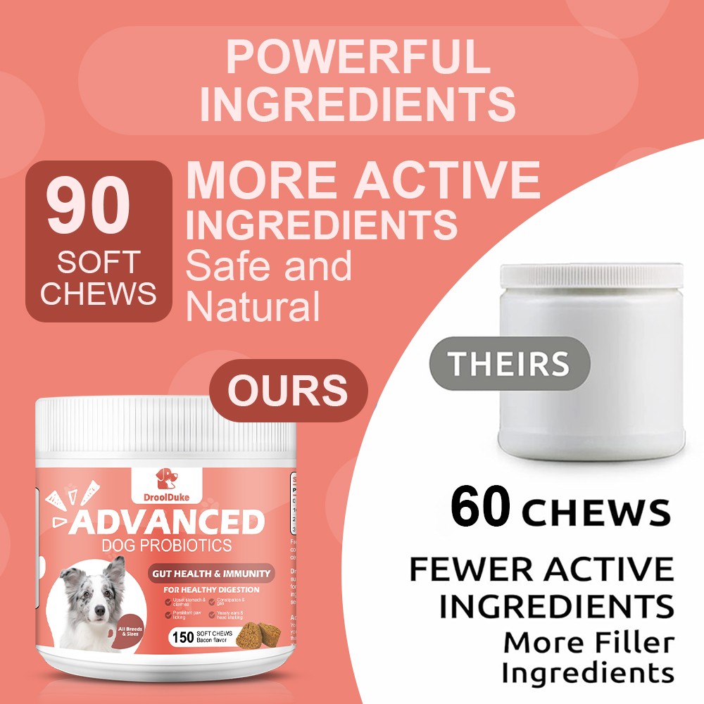 Probiotics for Dogs Soft Chews for Seasonal Allergies, Gut, and Digestive Health