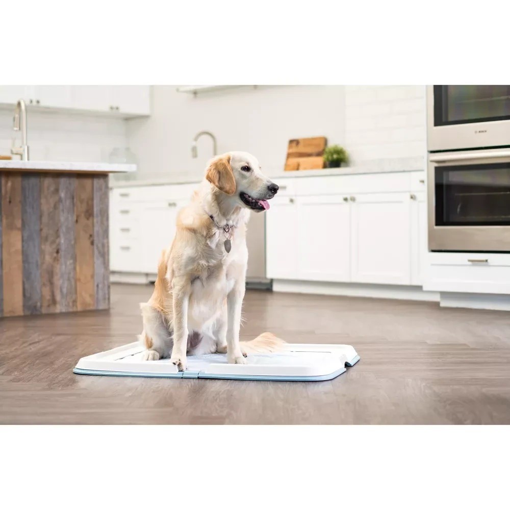 IRIS USA Neat N Dry Extra Large Pet Training Pad Holder Fits 23.5″x35.5″ Blue