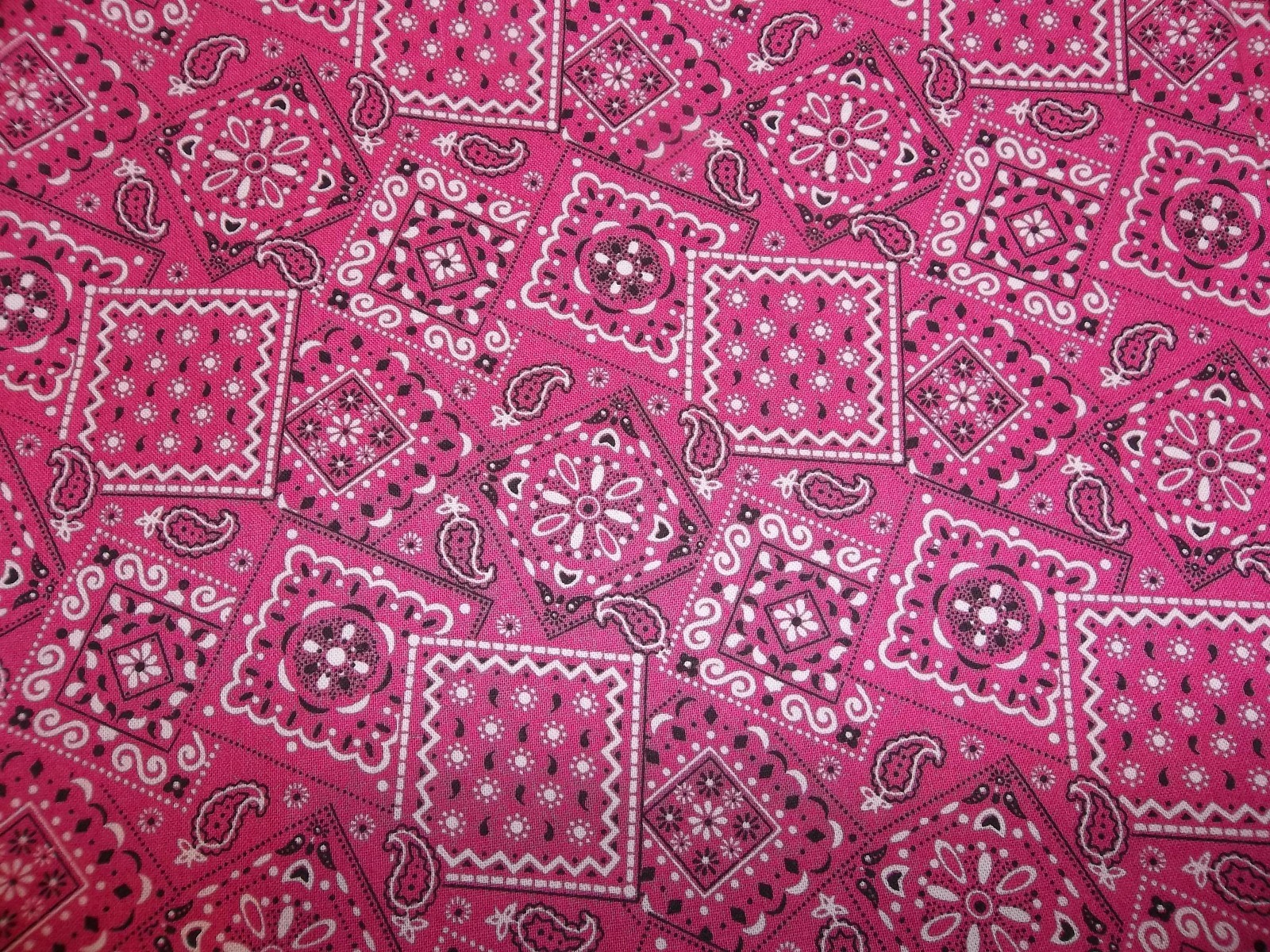 Flamingo Hot Pink Bandana Terris Dog Collar handmade adjustable charming western