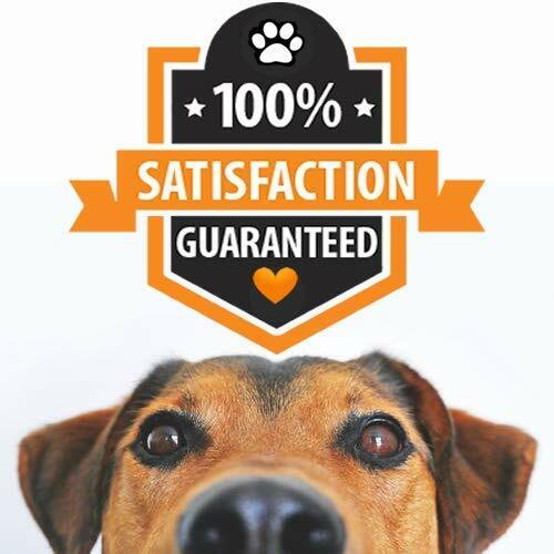 DOG WART REMOVER – ALL NATURAL PAINLESS DOG WARTS REMOVAL TREATMENT GOOD KARMA