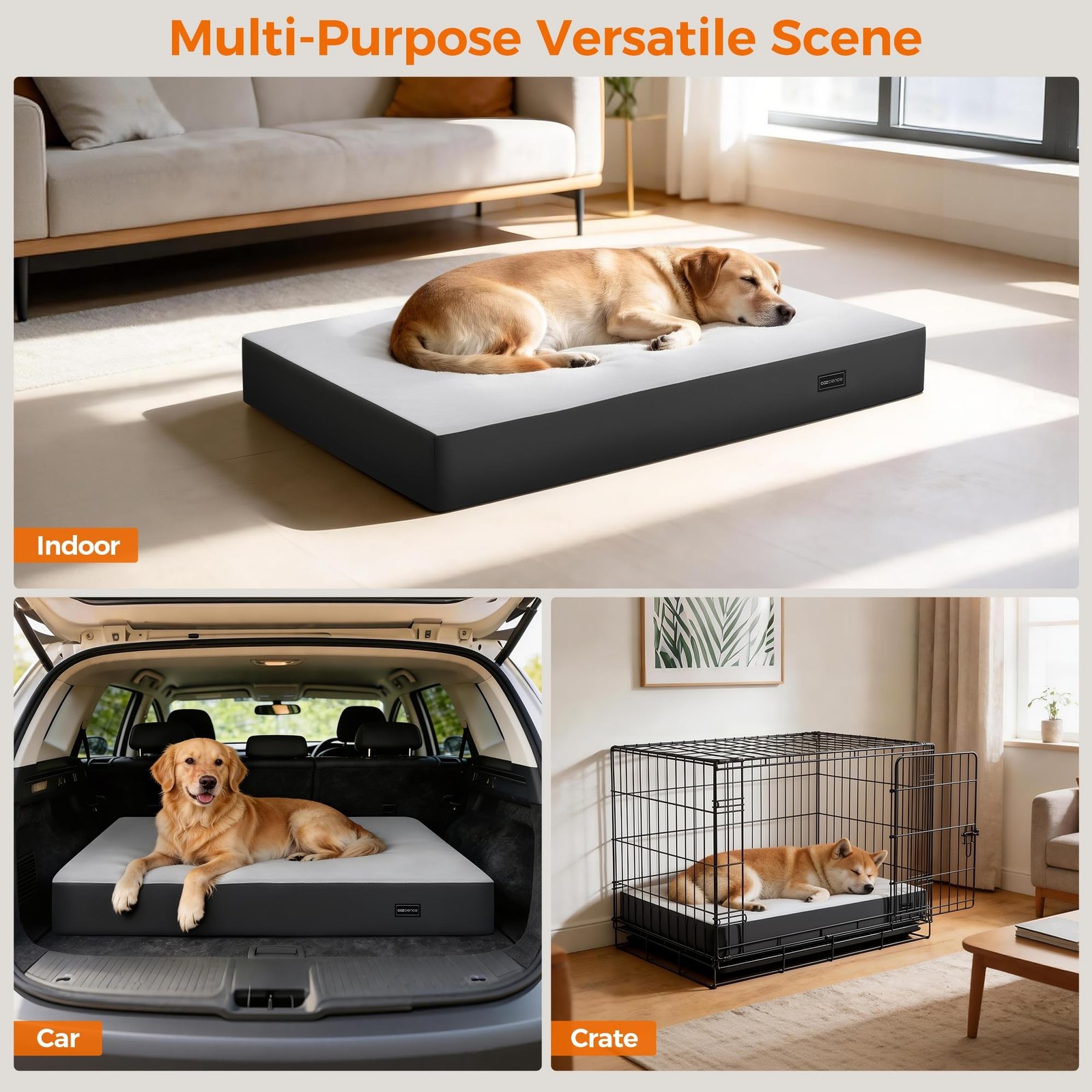 5 Inch Thick Orthopedic Dog Bed for Medium & Large Dogs, High Density Egg Cra…
