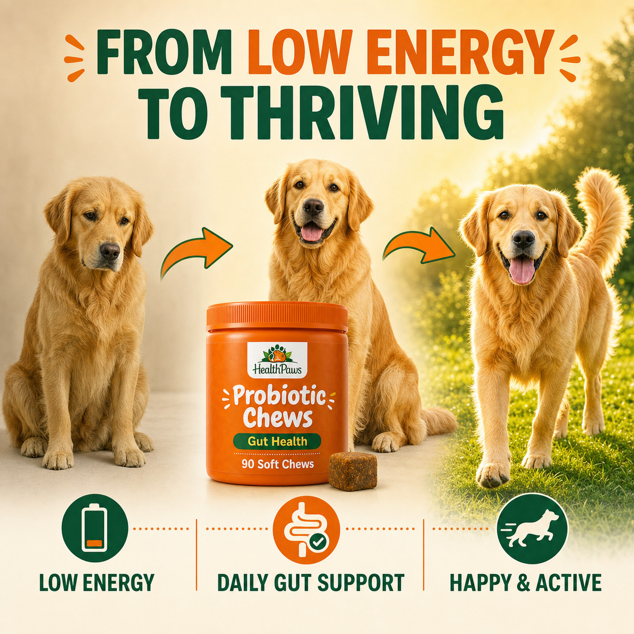 Probiotic Chews for Dogs – Gut & Immune Support – 6 Probiotics – Chicken Flavor