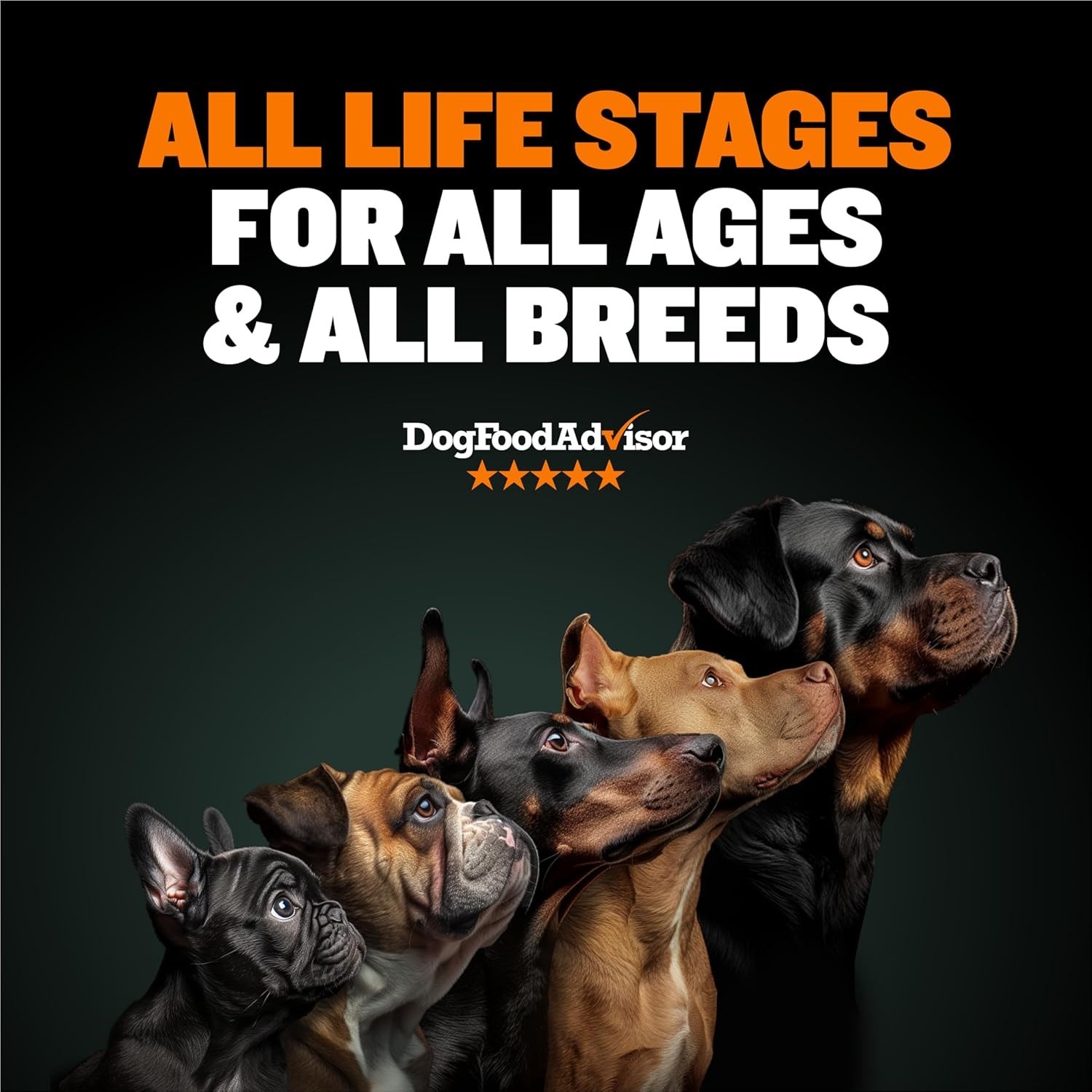 Bully Max Dry Dog Food for Adults & Puppies – High Protein & Fat for Muscle & We