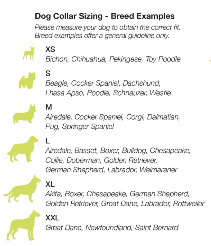 Up Country Dog Collar or Leash Bow Wow Pattern Sizes XS S M L XL XXLG