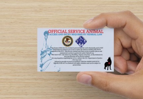 Service Dog Harness Vest Reflective – Patches – Waterproof ALL ACCESS CANINE™