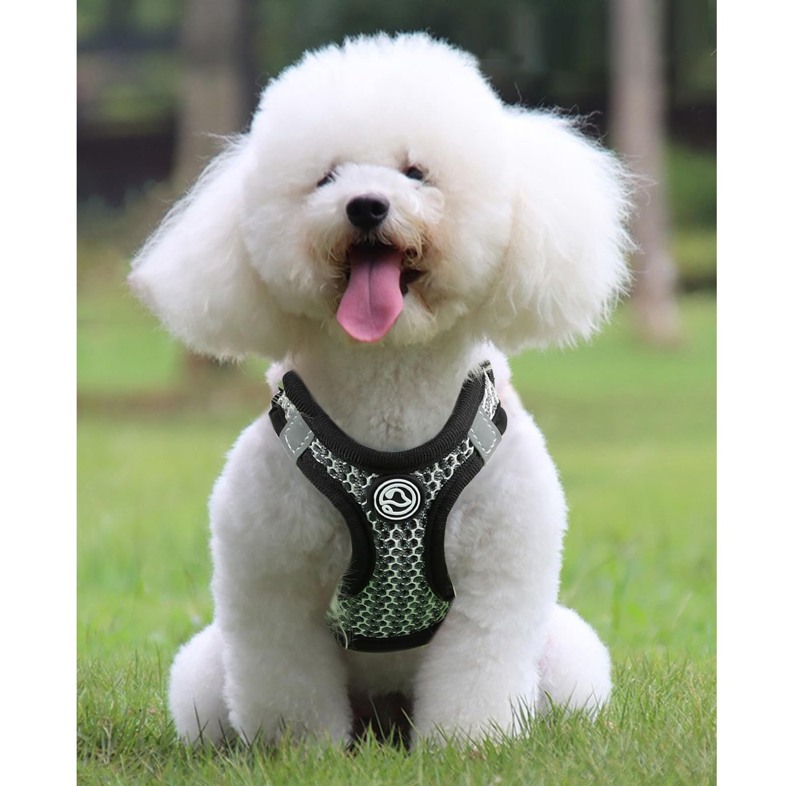 Step in Dog Harness – Chihuahua Teacup Dog Harnesses for XXS, XS Small Dogs A