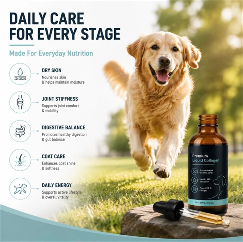 3 Pack Healthy Petz Premium Liquid Collagen For Dogs, Supplement With Collagen