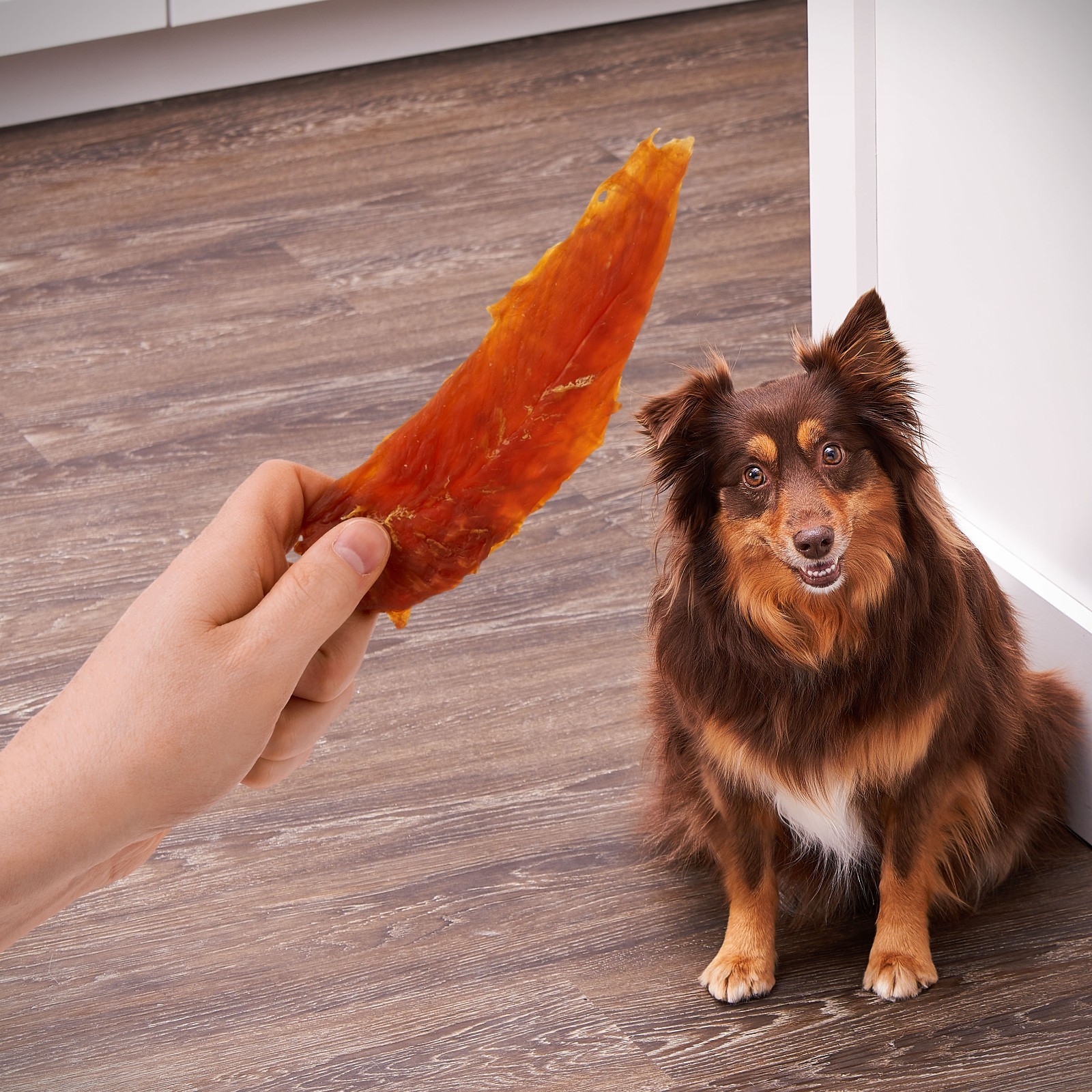 Golden Rewards Chicken Flavor Premium Dry Jerky Treats for All Dogs 64 oz