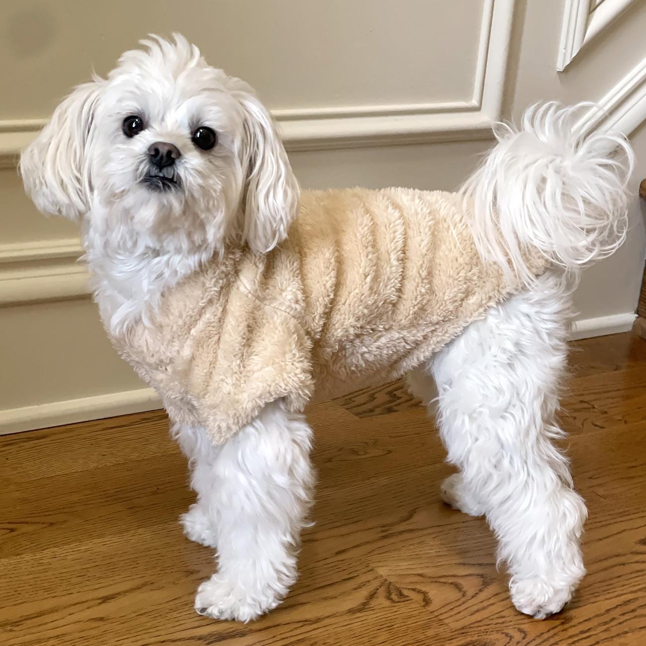 Dog Plush Pullover Jacket/Sweater- Cream Sizes XS – 4XL