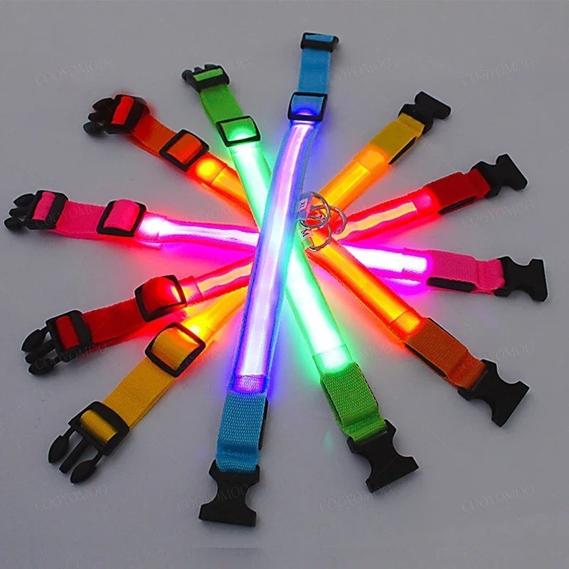 RECHARGEABLE LED PET GLOW COLLAR night safety adjustable flash light-up FOR dog