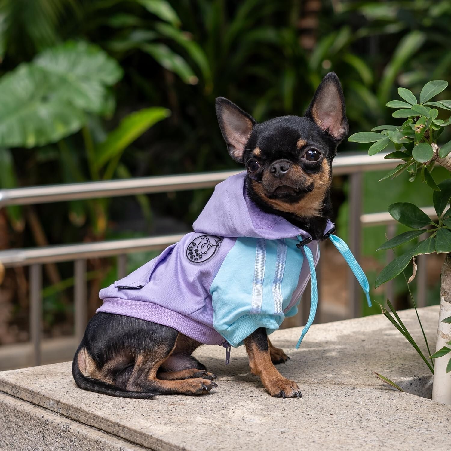 Dog Clothes Hoodie Cozy Warm Outfit Sweater Pullover Hug Pupee