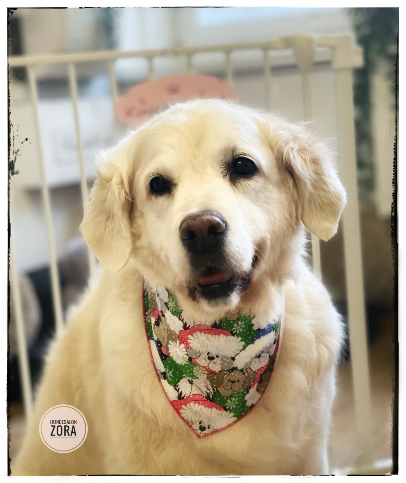 50 EASTER SPRING Dog Grooming BANDANA Holiday PET SCARF Tie On XS S M L XL