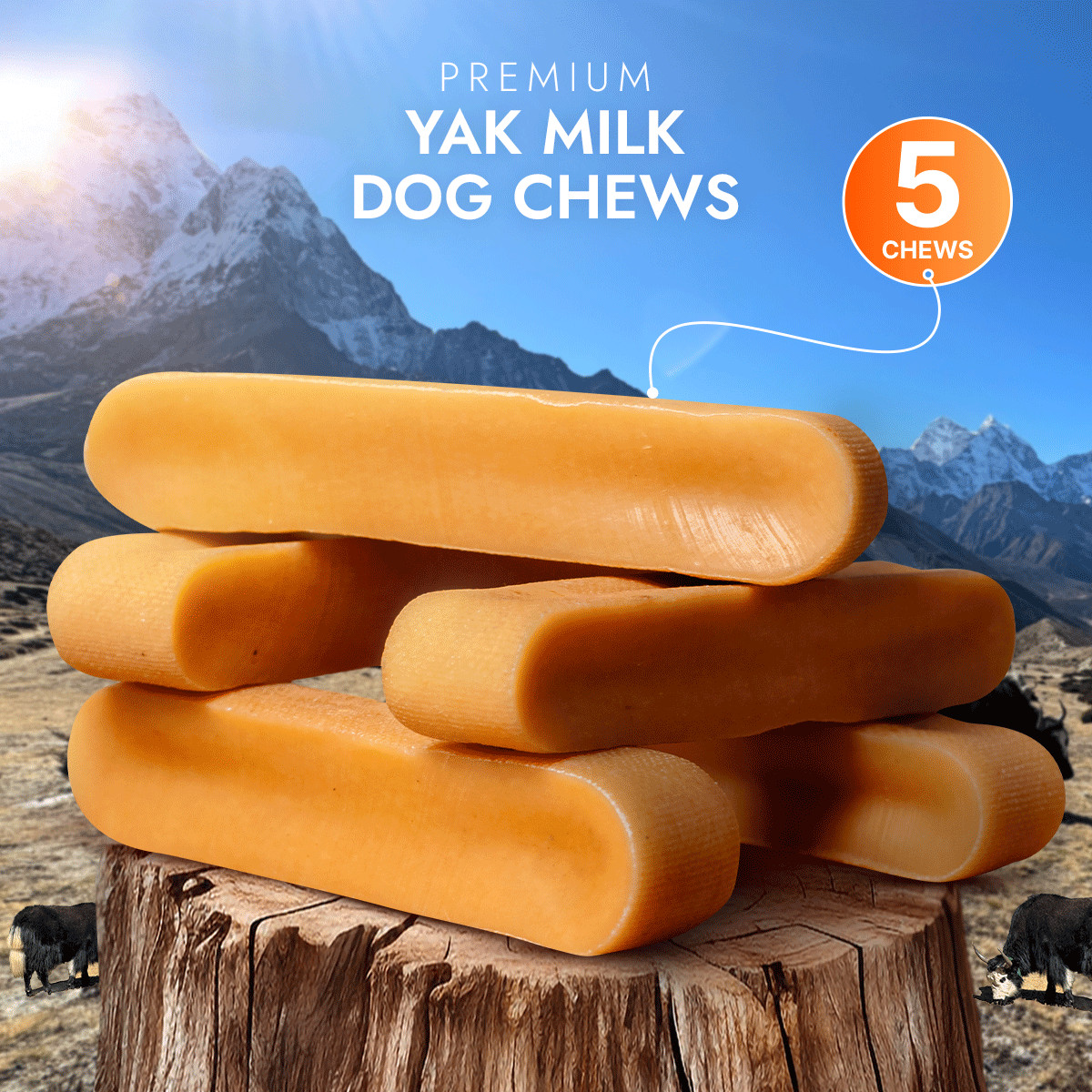 Large Yak Cheese Chew – 100% NATURAL & LONG LASTING Dog Chew & Treats (5 pcs)