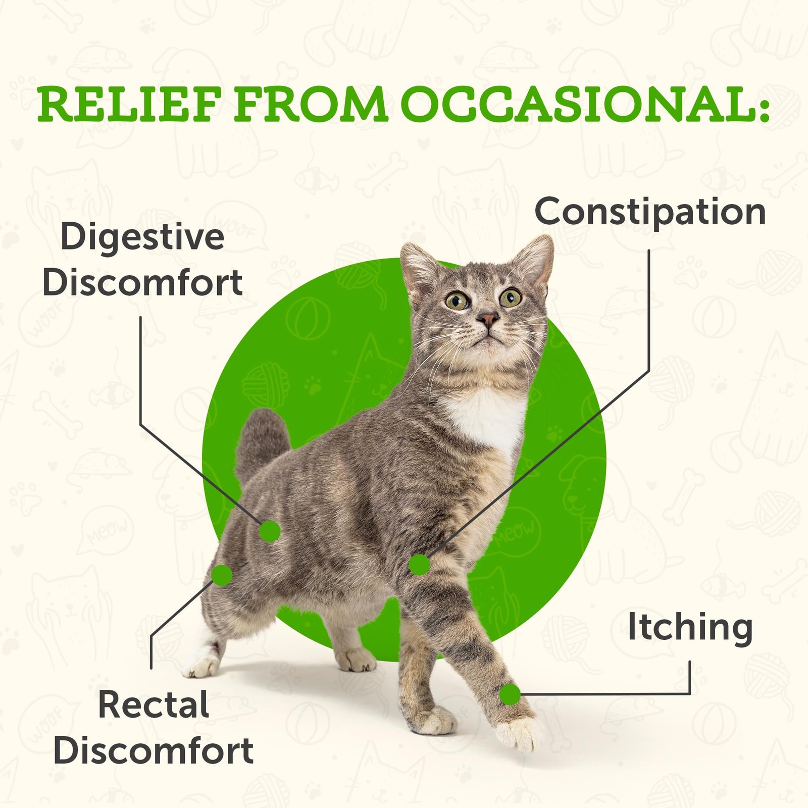 Animal Essentials Colon Rescue Powder Herbal Digestive Aid for Dogs & Cats, 1 oz