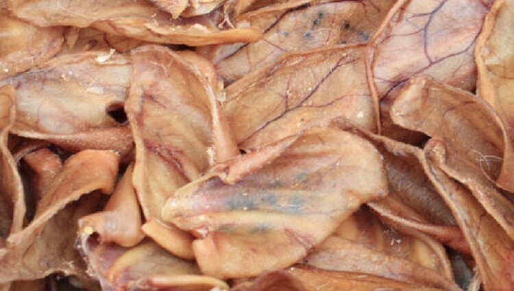 Natural Full PORK EARS Dog Treats FULL LARGE Chew Bulk Dental FRESH Piggy