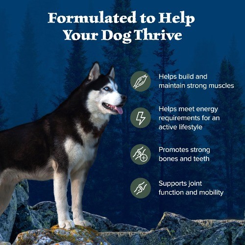 Blue Buffalo Wilderness High Protein Natural Adult Dry Dog Food