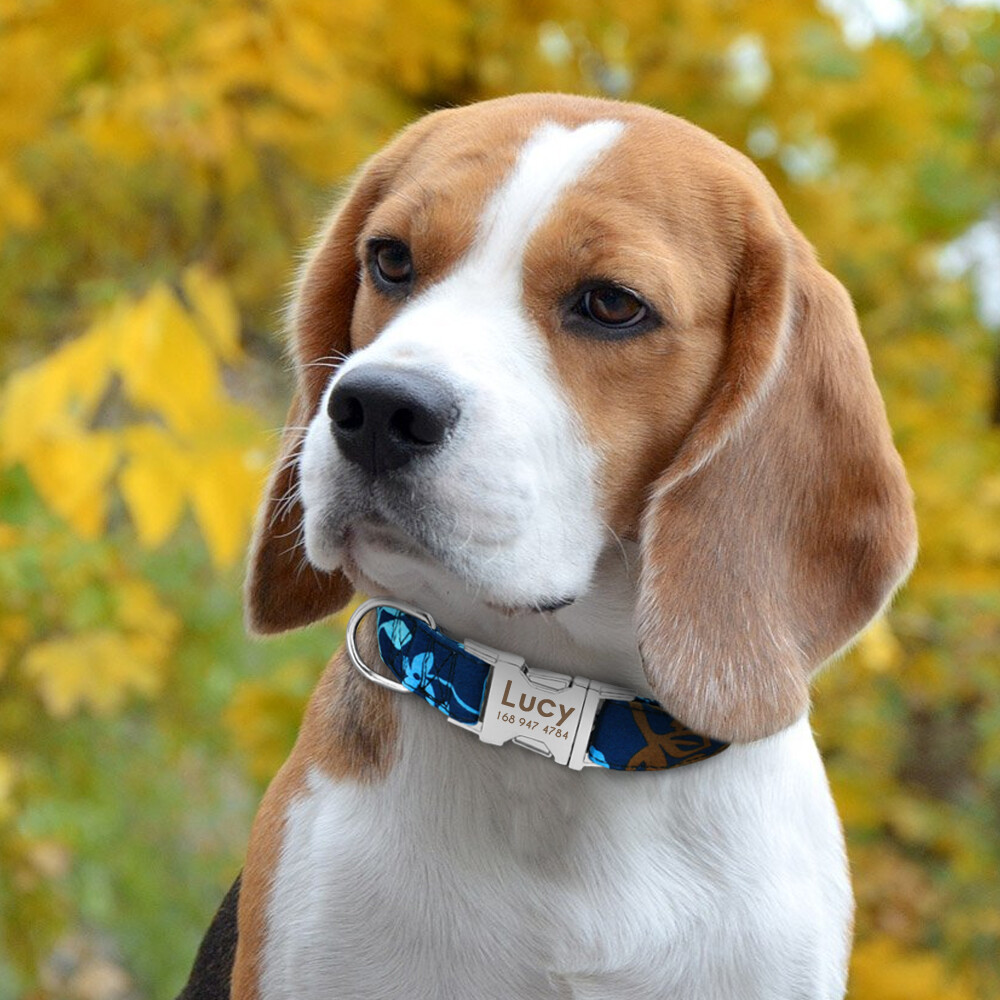 Nylon Cotton Personalized Dog Collar Pet Nameplate Custom Engrave ID Collar Tag