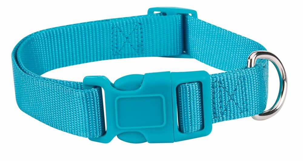 Casual Canine Nylon Dog Collar w Quick Release Buckle XS S M L 11 Colors