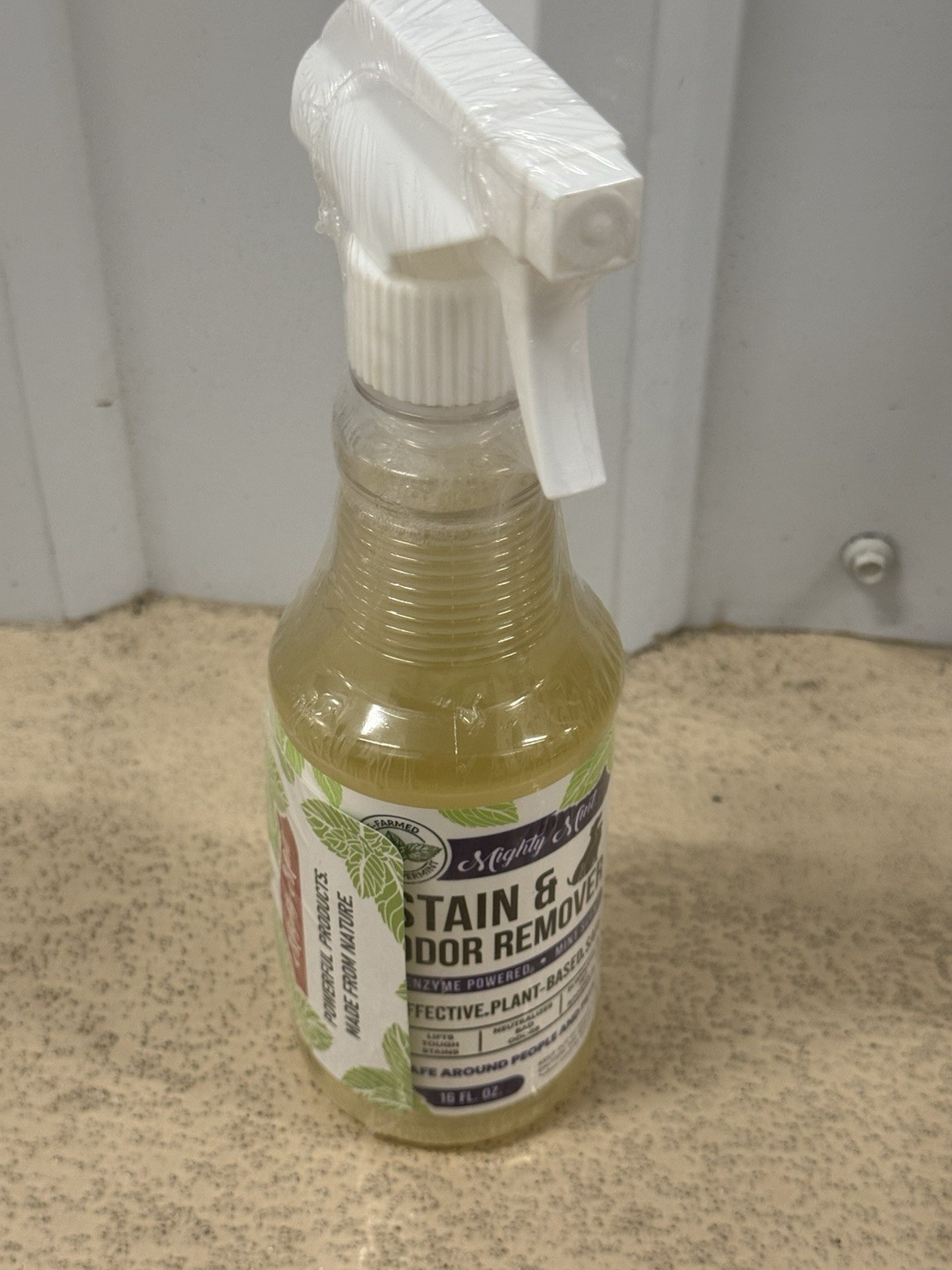 Mighty Mint Stain & Odor Remover, Natural 16 Fl Oz (Pack of 1),