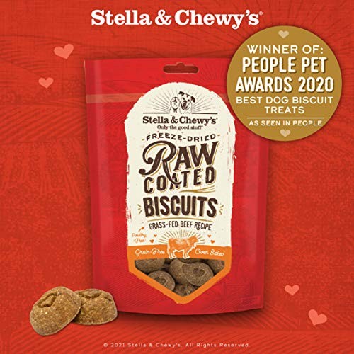 Freeze-Dried Raw Coated Biscuits Dog Treats 9 Ounce (Pack of 1) Beef