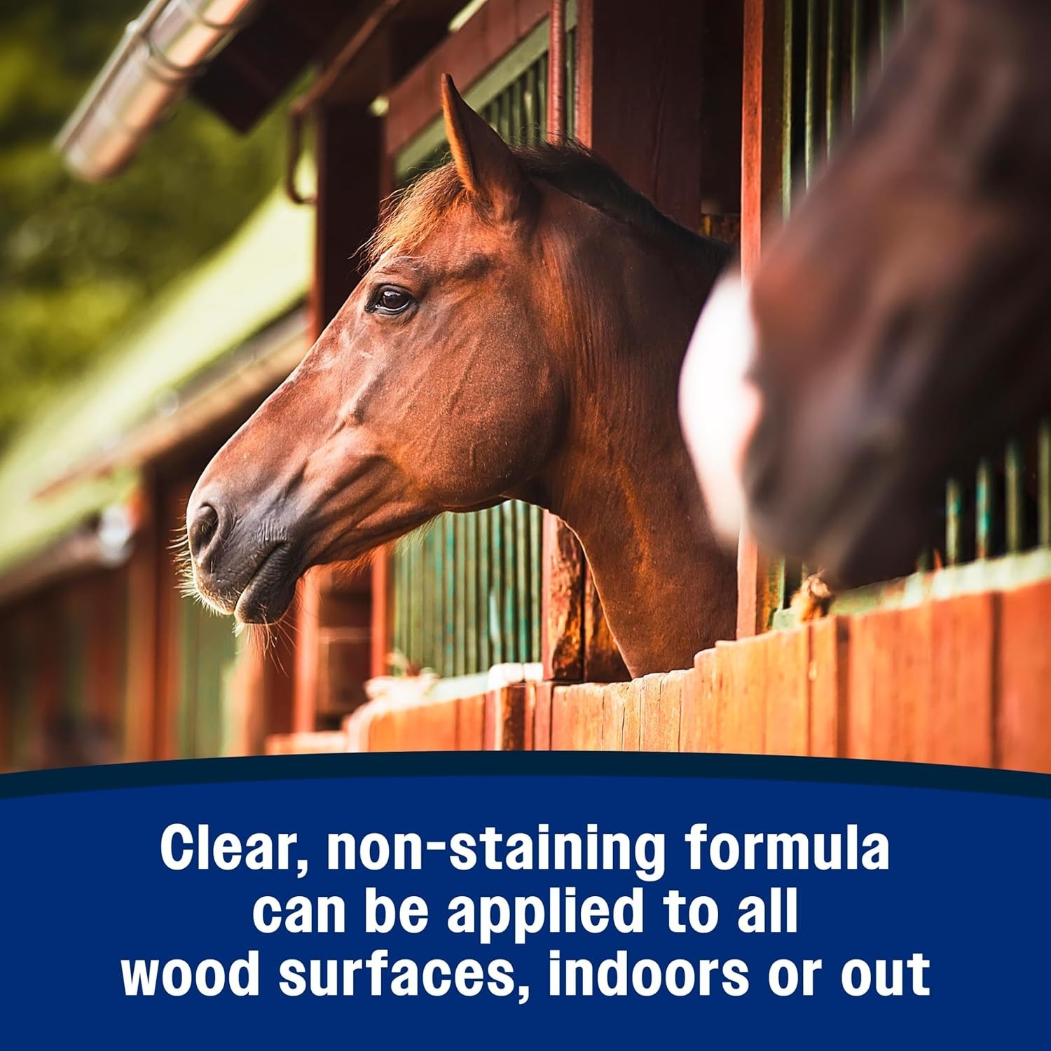 Bitter Tasting No Chew Spray – 32 Oz for Horses – Safe and Effective Protection