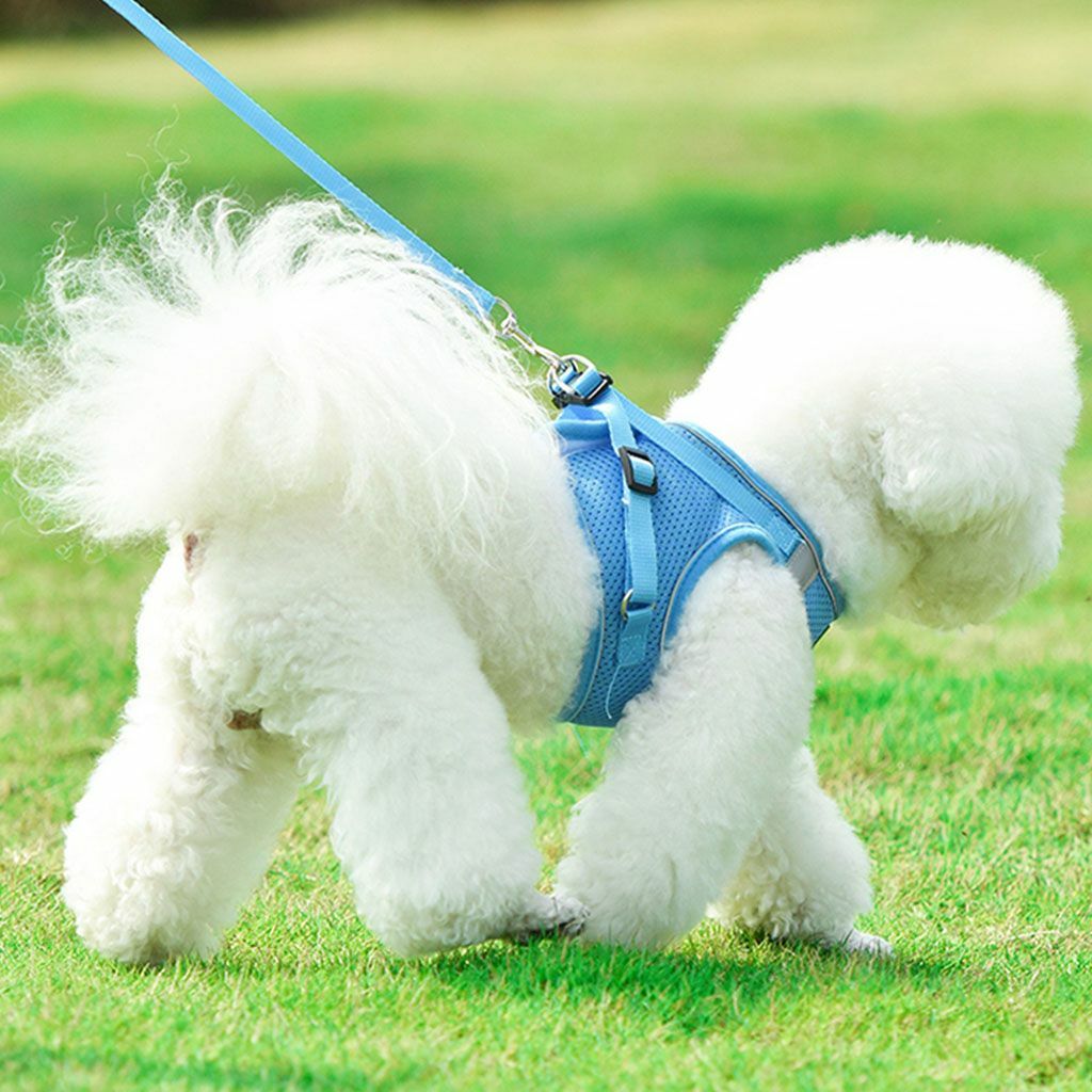 Adjustable No Pull Dog Pet Harness Control Vest Dogs Reflective XS S M L XL Hot