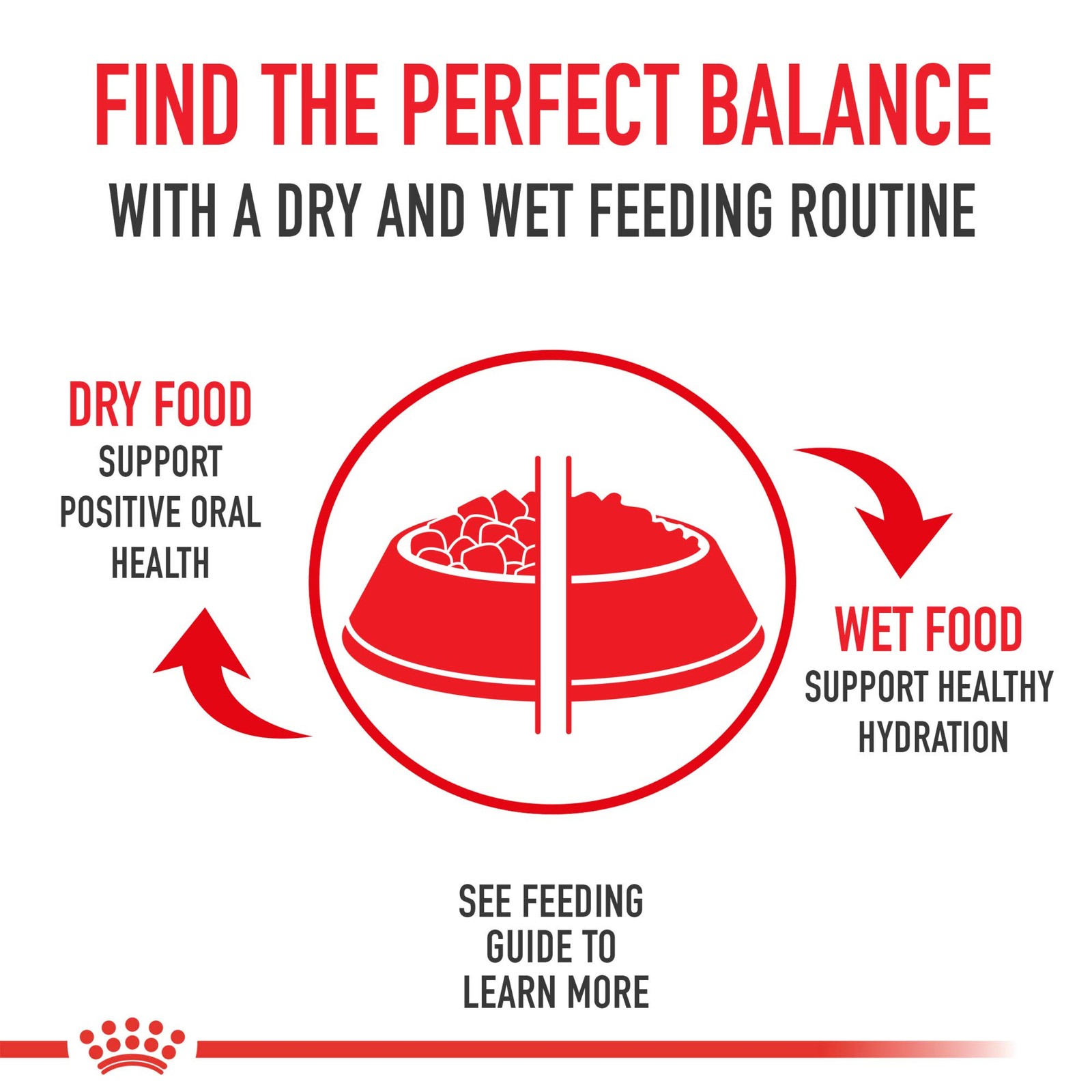 Royal Canin Shih Tzu Adult Breed Specific Dry Dog Food, 2.5 lb bag