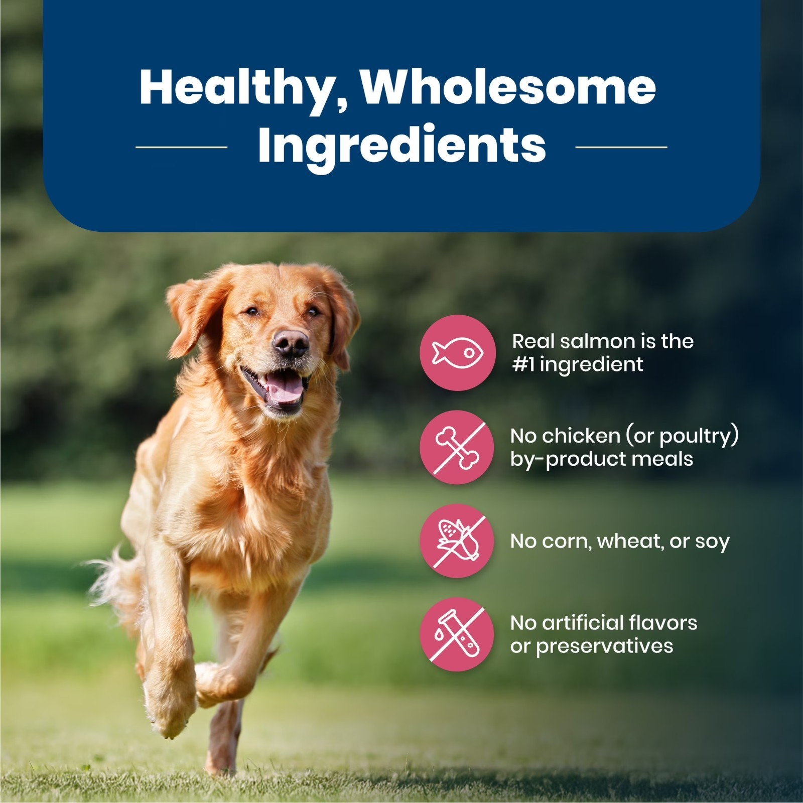 Blue Buffalo Life Protection Adult Chicken-Free Salmon Dry Dog Food, 15 lbs