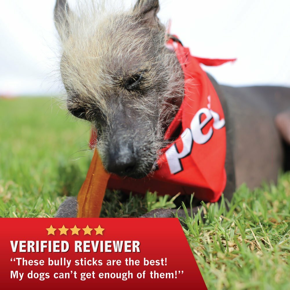 All Natural 4″ Bully Jumbo Thick Sticks FDA & USDA APPROVED