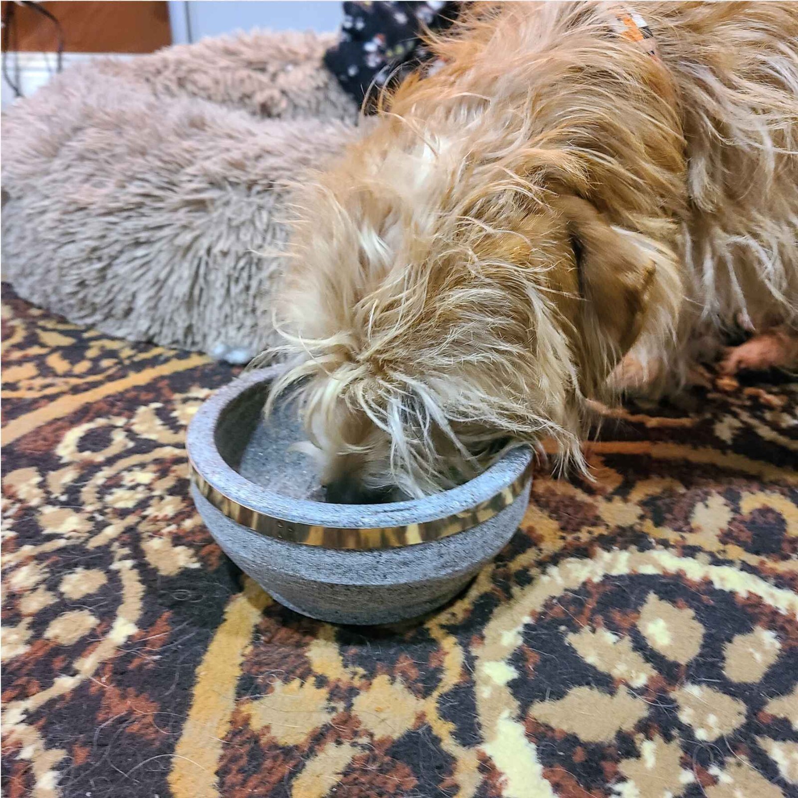 Natural Stone Dog Bowl Standard Dog Bowl Size S Modern Raw Beauty Heavy Bowl