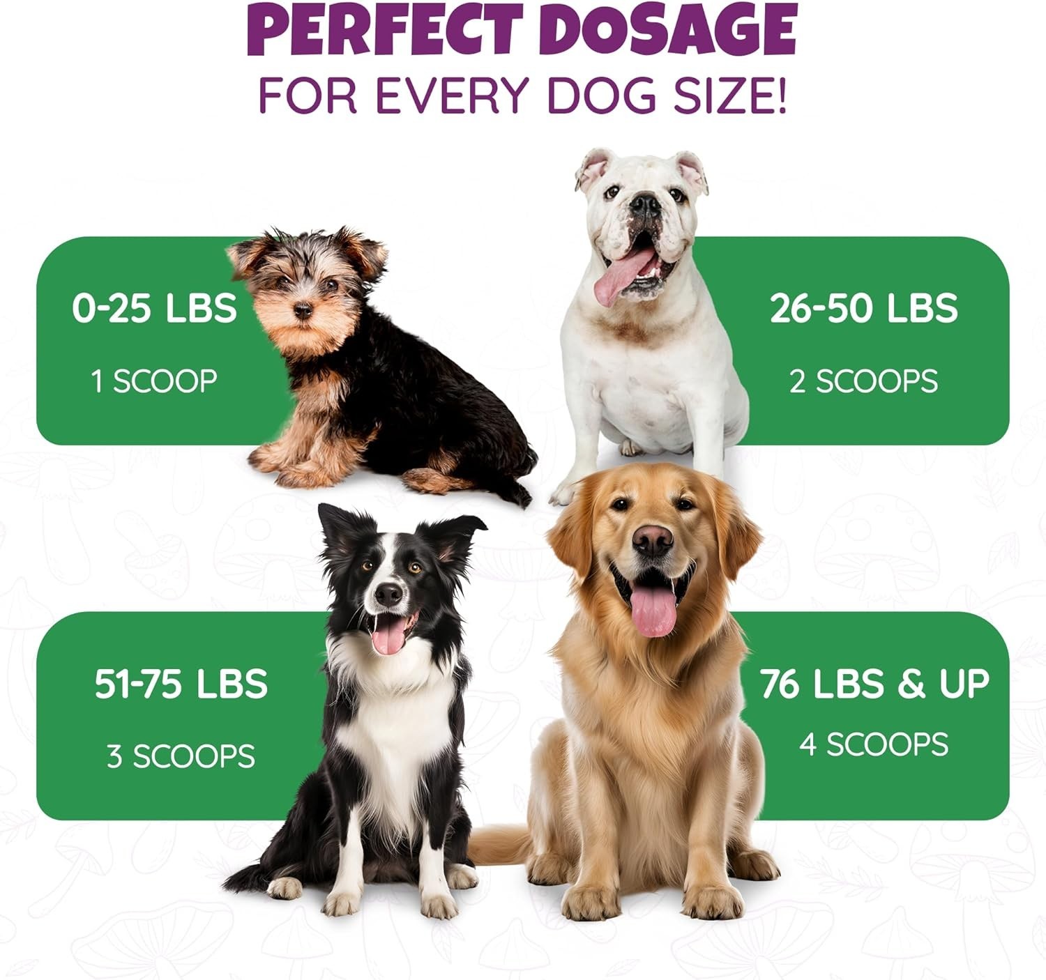 All-Natural Mushroom Powder for Dogs for Immunity, Cognition…Exp-07/2027