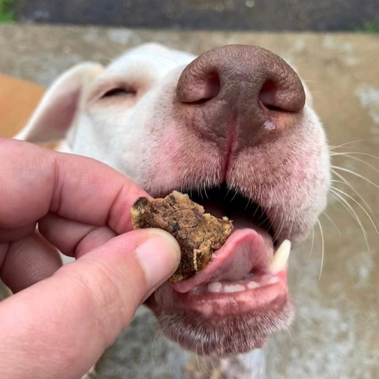 Beef Dog Treats – Made in USA Only – All Natural, Meaty Beef Tips – Premiu
