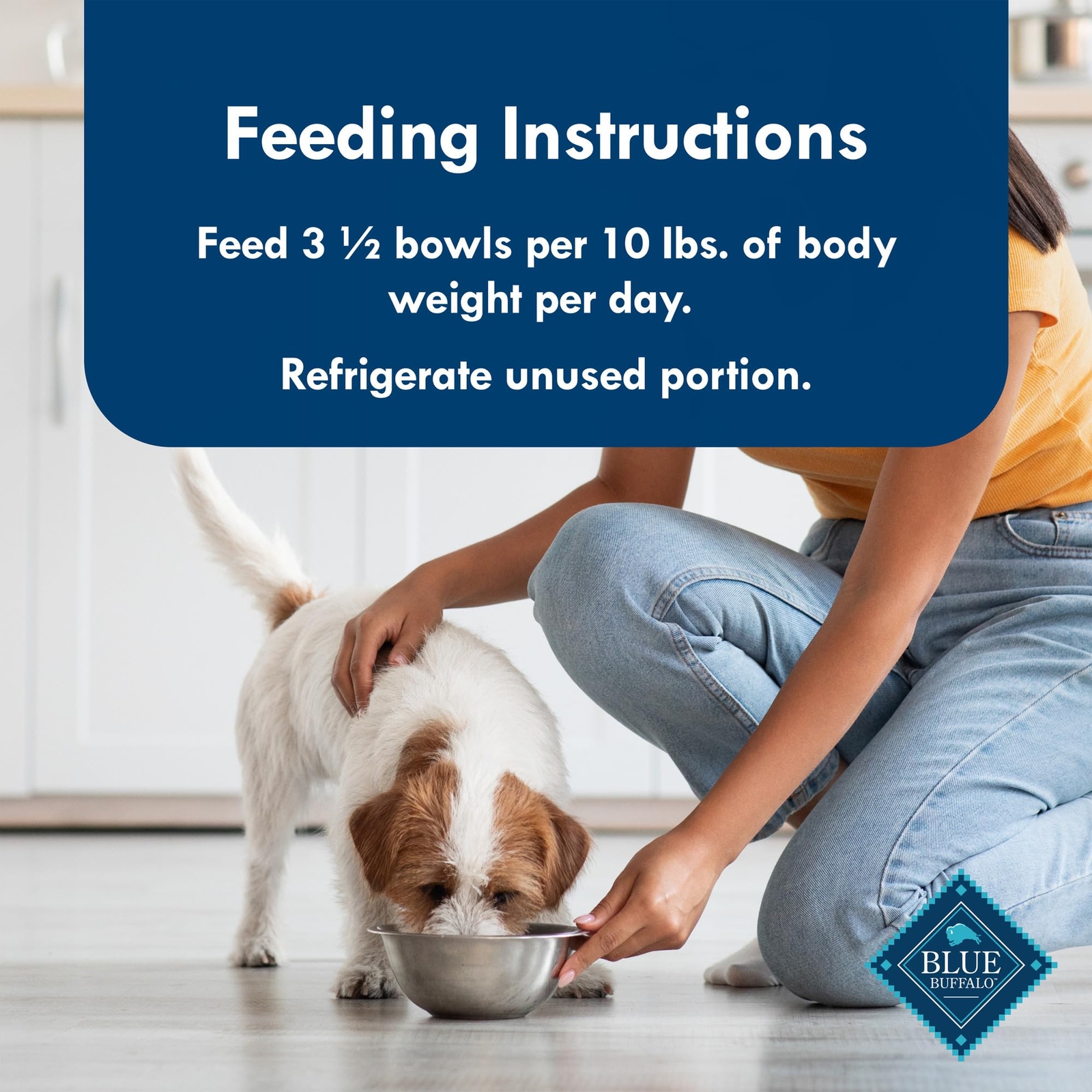 Blue Buffalo Divine Delights Filet Mignon Wet Dog Food for Small Breeds 12 Cups