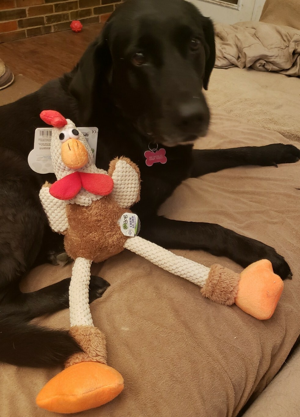 goDog Large Checkers Skinny Rooster With Chew Guard Technology Tough Plush Dog.