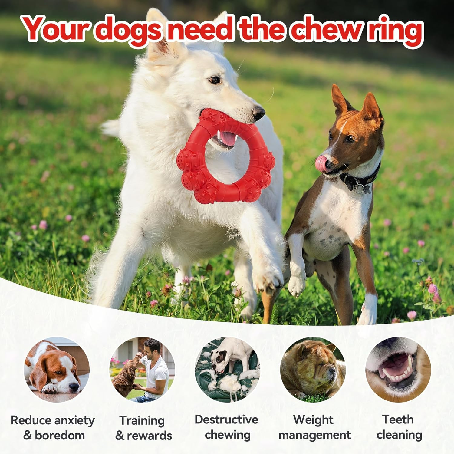 Indestructible Dog Chew Toys Aggressive Chewers Ring Heavy Duty Large Teething