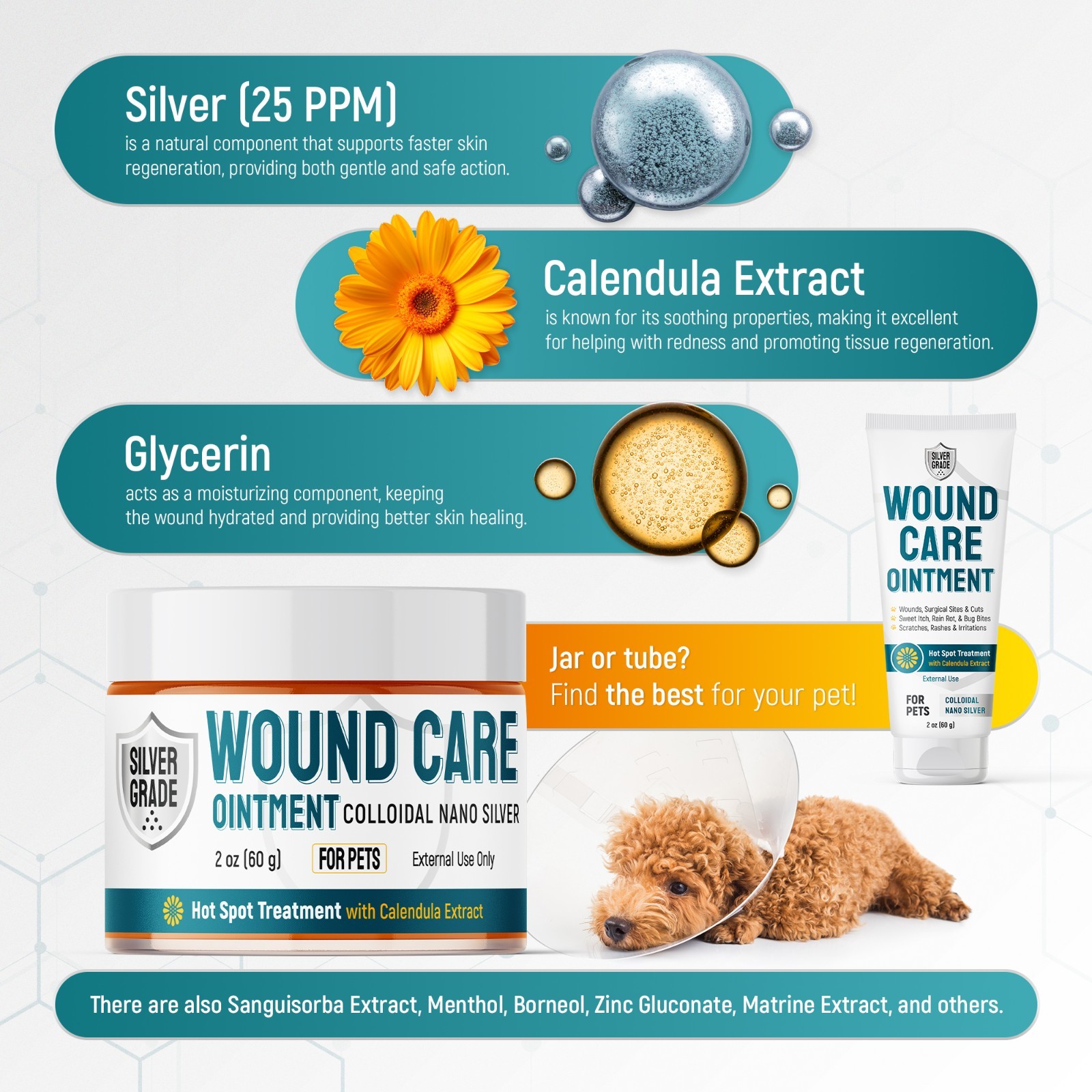Silver Wound Care Ointment for Dog & Cat Skin Relief Hot Spot, Cuts, Irritations