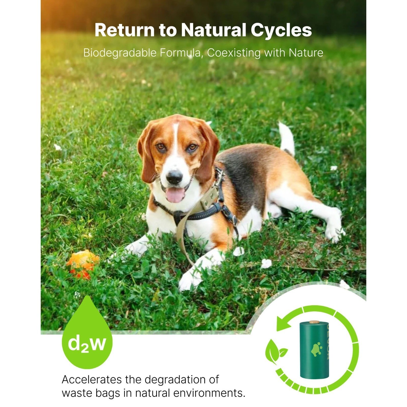 270ct Dog Poop Bags 13x9in, Thick Leak-Proof Pet Waste Refills, Biodegradable
