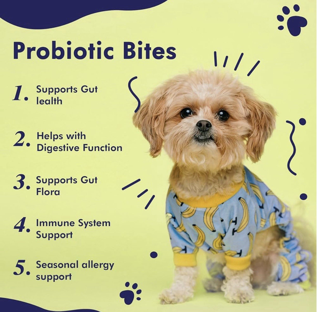 Ahalea Probiotics & Enzymes For Dogs – Advanced – 90 Soft Chews – Exp: 4/2027