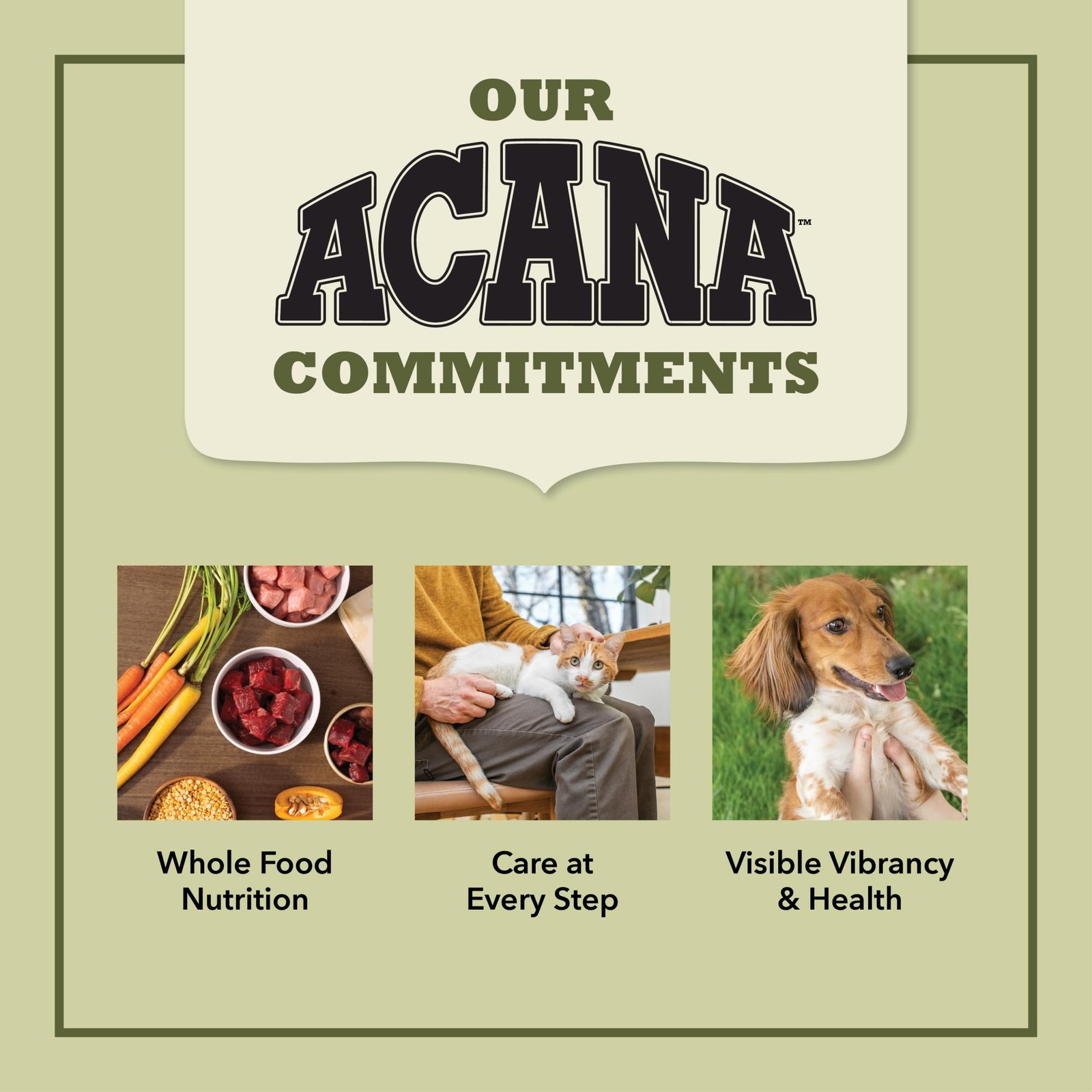 ACANA Classics Dry Dog Food Salmon and Barley Recipe 4lb 4 Pound (Pack of 1)