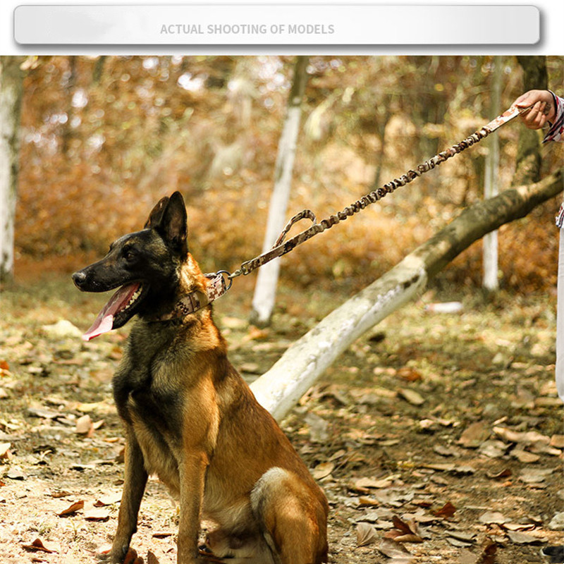 Tactical Heavy Duty Nylon Large Dog Collar K9 Military Metal Buckle Adjustable